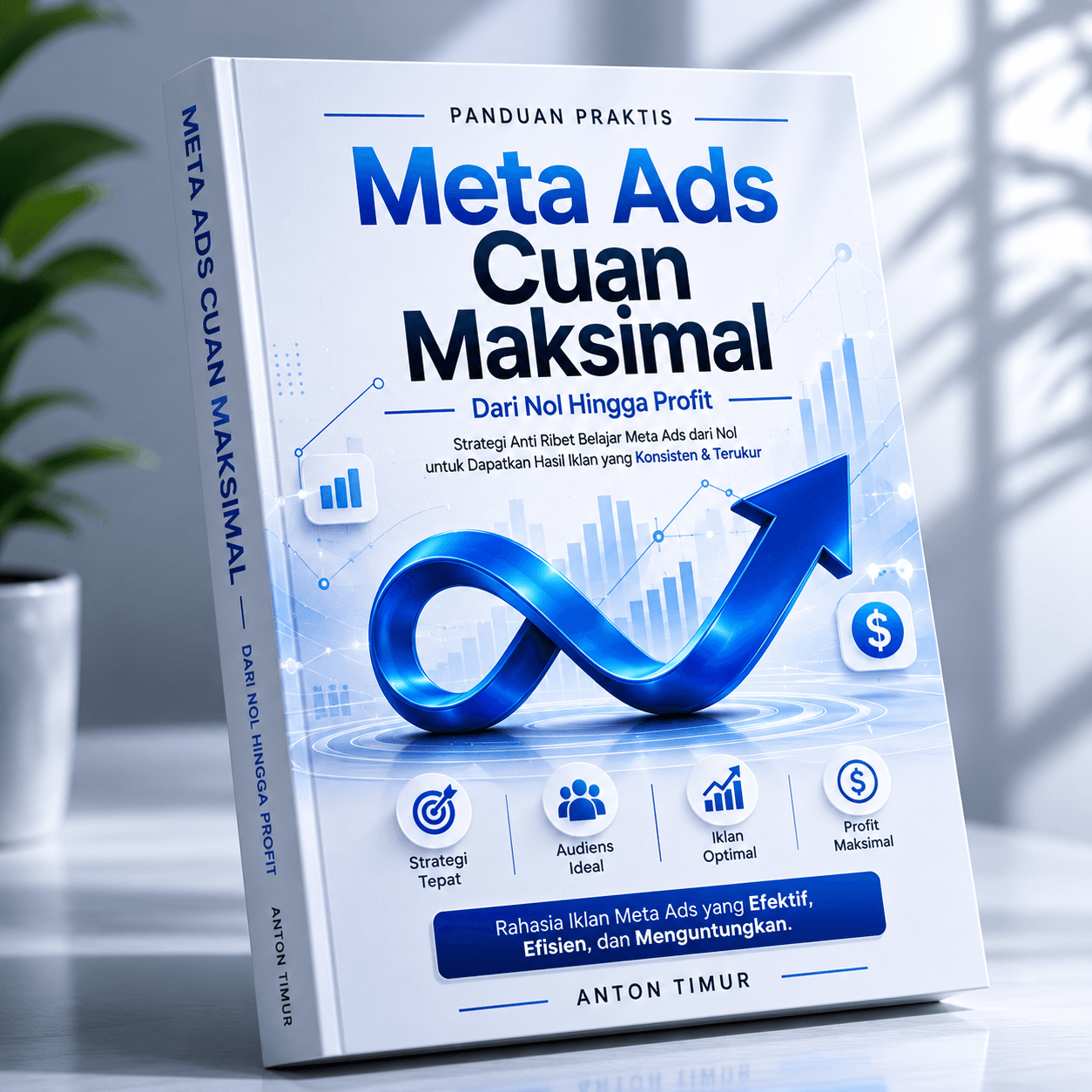 Ebook Meta Ads Scale Up